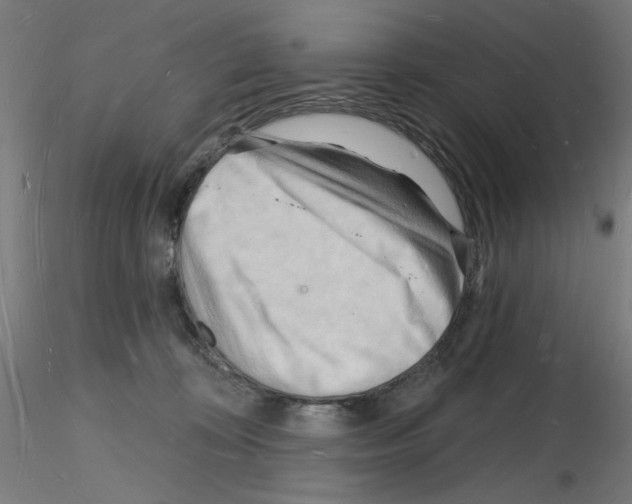 X0000116130324201001041017