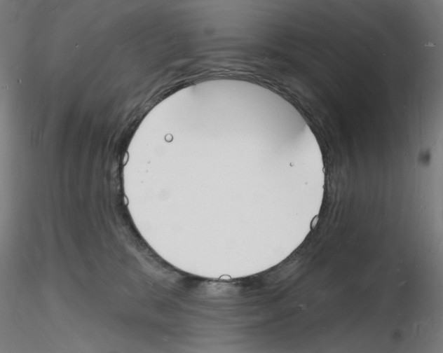 X0000116130327201001041017