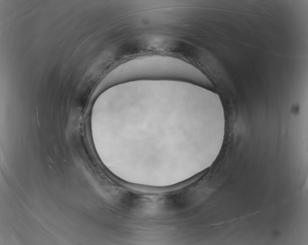 X0000116130328201001041017