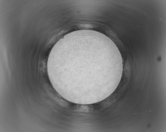 X0000116130330201001041017