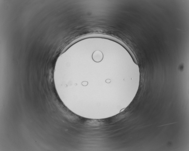 X0000116130331201001041017