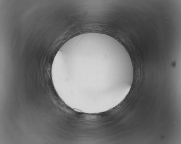 X0000116130332201001041017