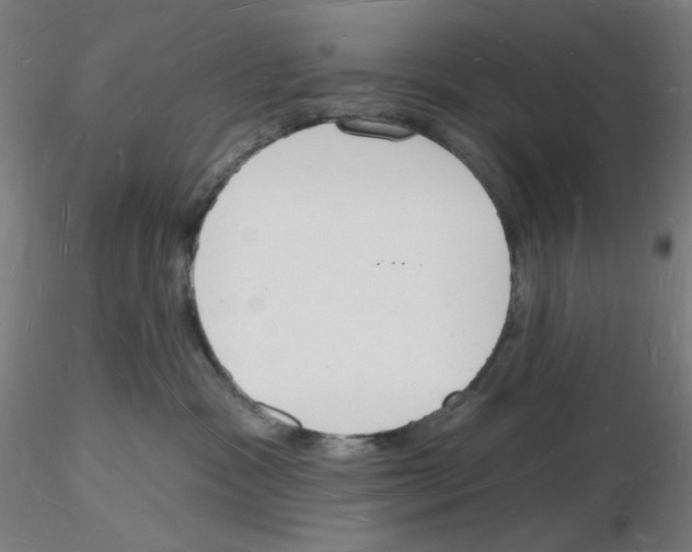 X0000116130333201001041017