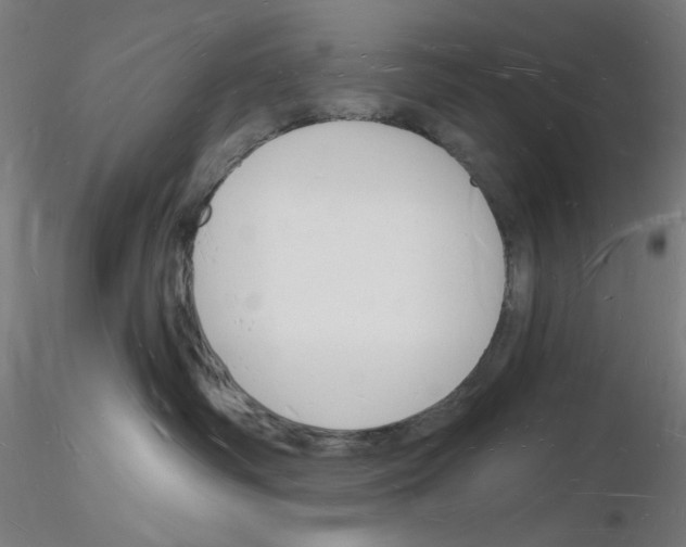 X0000116130334201001041017