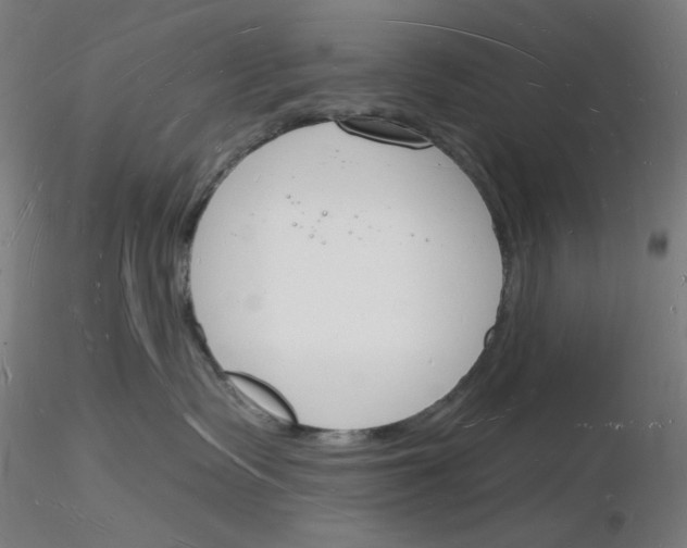 X0000116130335201001041017