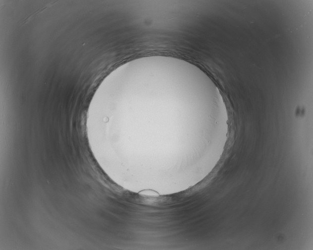 X0000116130336201001041017