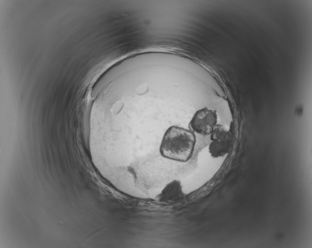 X0000116130337201001041016