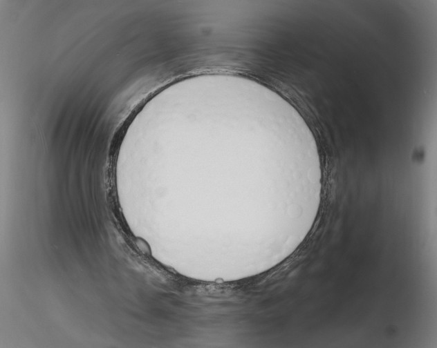X0000116130338201001041016