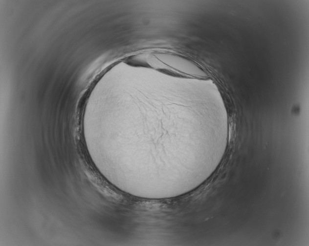 X0000116130339201001041016