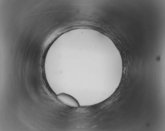 X0000116130341201001041016