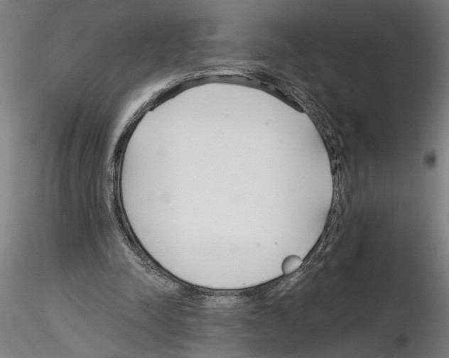 X0000116130342201001041016