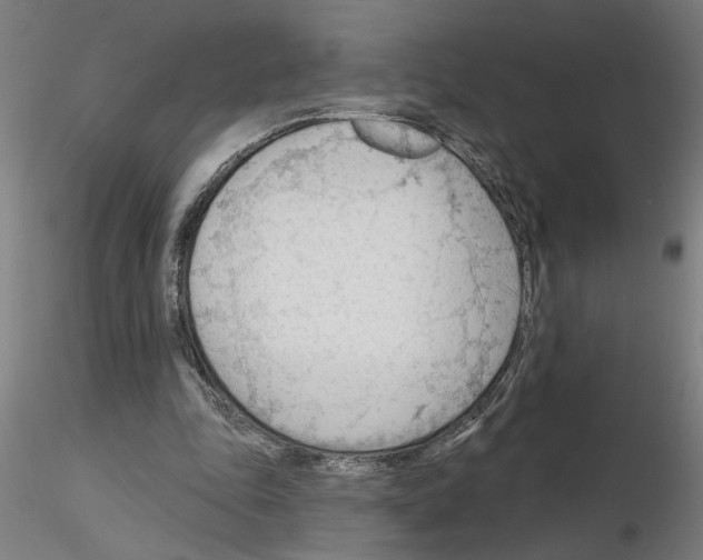 X0000116130343201001041016