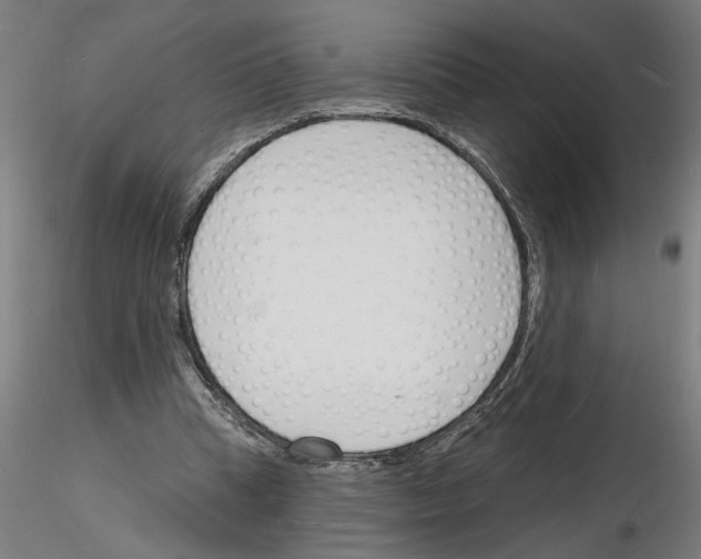 X0000116130345201001041016