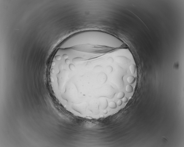 X0000116130346201001041016