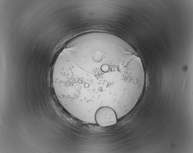 X0000116130349201001041016