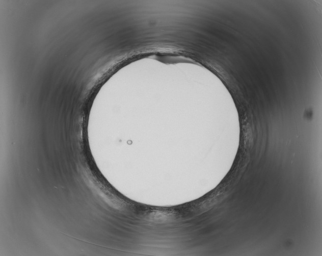 X0000116130350201001041016