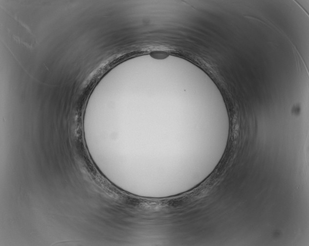 X0000116130351201001041016