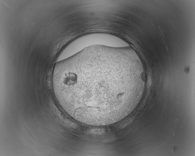 X0000116130353201001041016