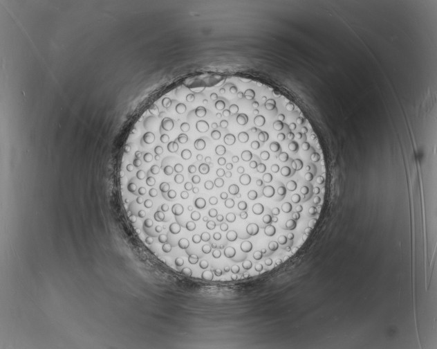 X0000116130354201001041016