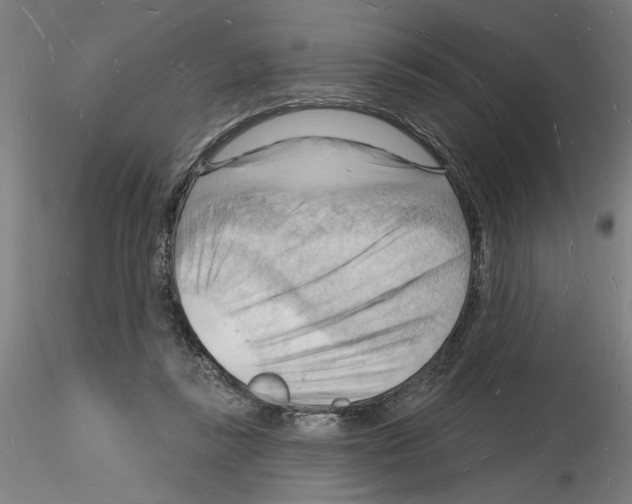 X0000116130355201001041016