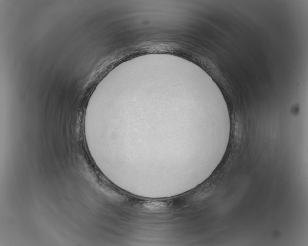 X0000116130357201001041016