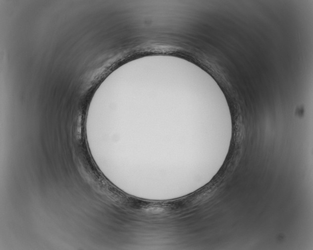 X0000116130358201001041016