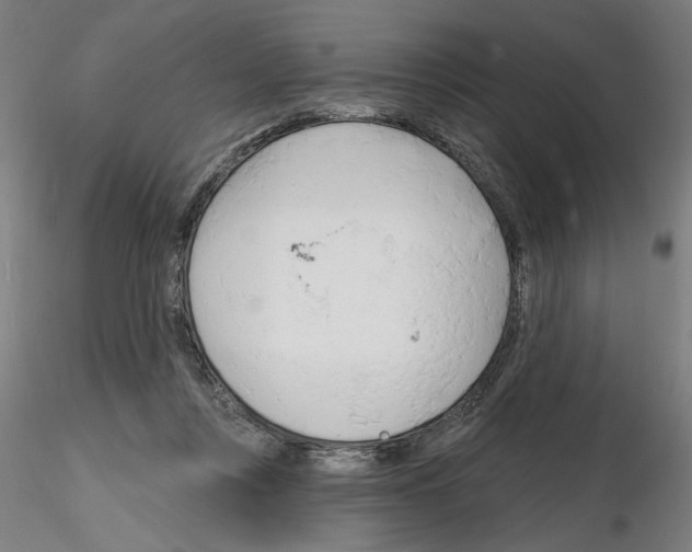 X0000116130359201001041016