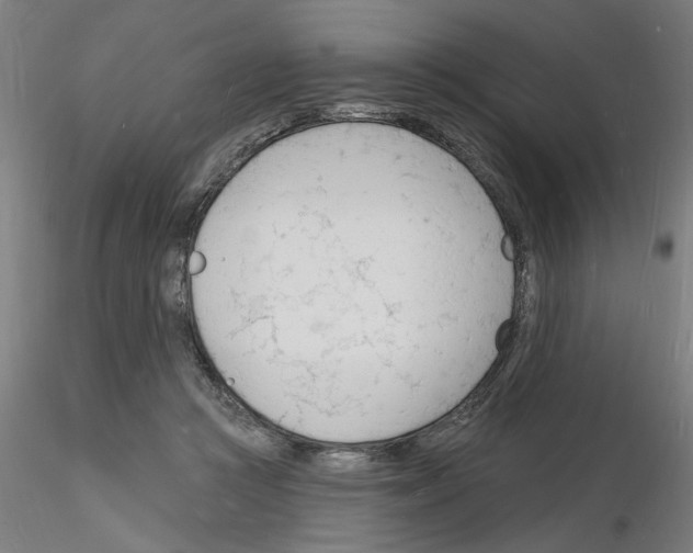 X0000116130361201001041016