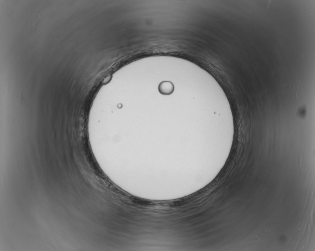X0000116130362201001041016