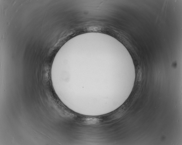 X0000116130363201001041016