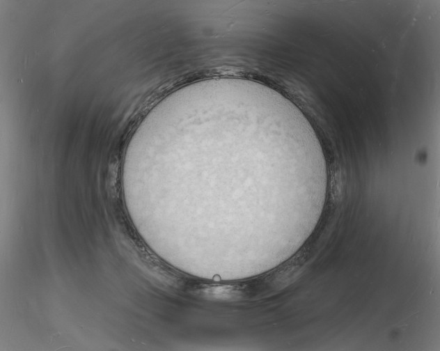 X0000116130365201001041016