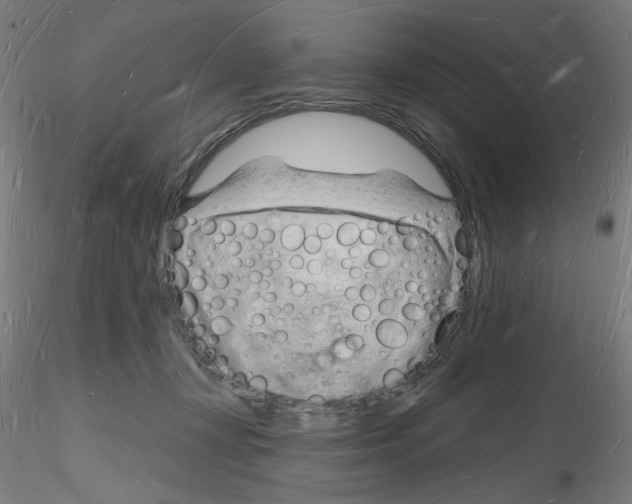X0000116130367201001041016