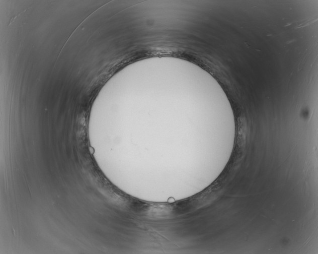 X0000116130369201001041016