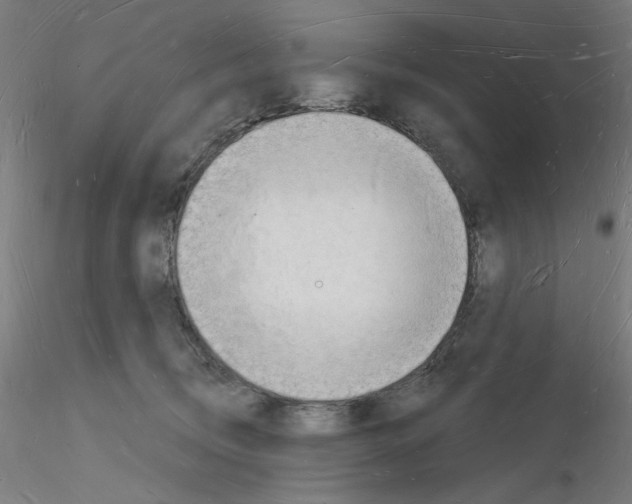 X0000116130370201001041016