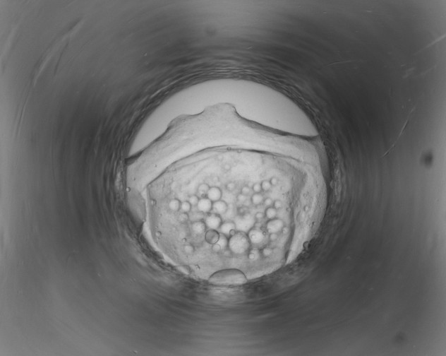 X0000116130371201001041016