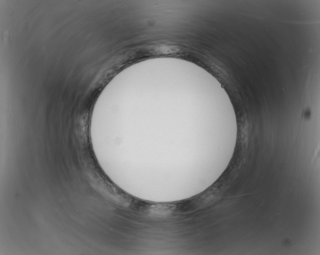 X0000116130373201001041016