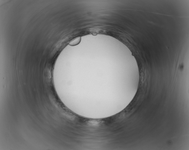 X0000116130375201001041016