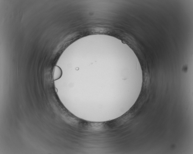 X0000116130377201001041016