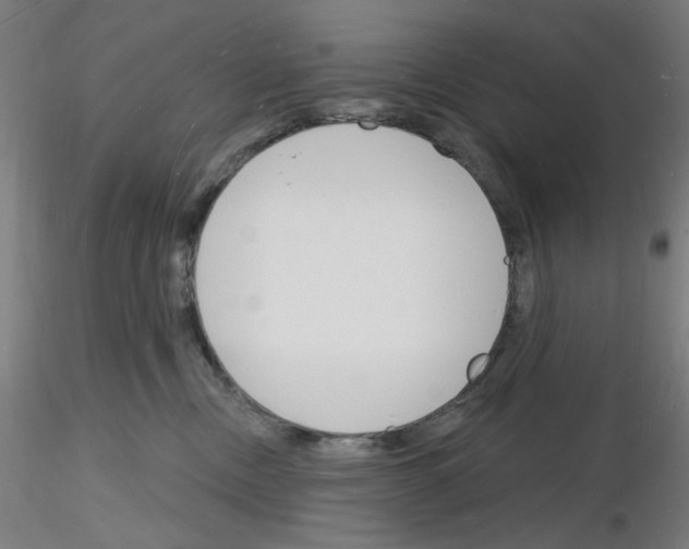 X0000116130378201001041016