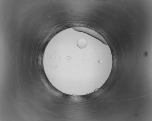 X0000116130379201001041016