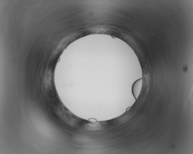 X0000116130381201001041016