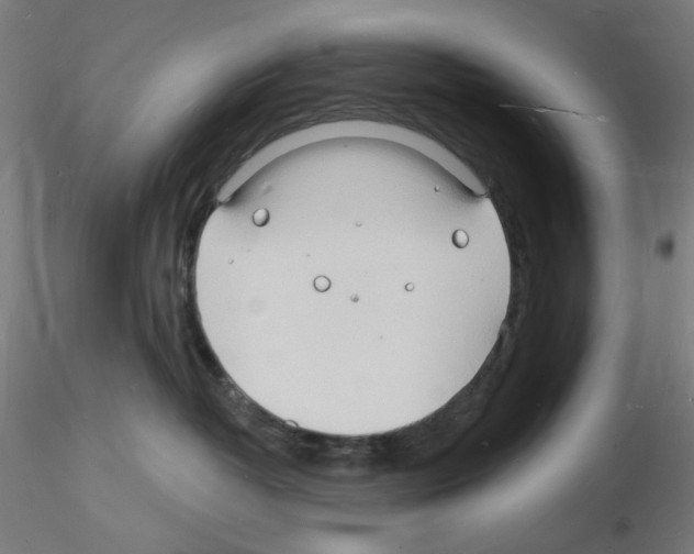X0000116130382201001041016