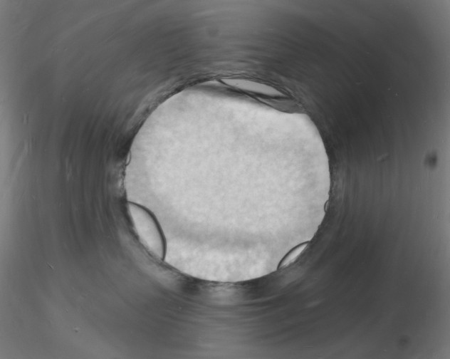 X0000116130383201001041016