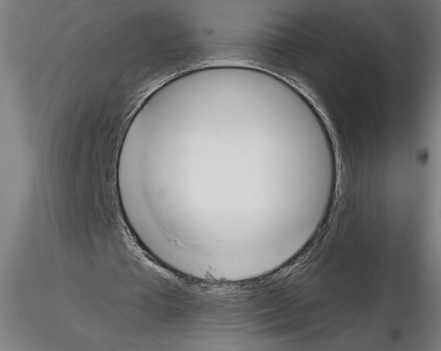 X0000116130385201001041016