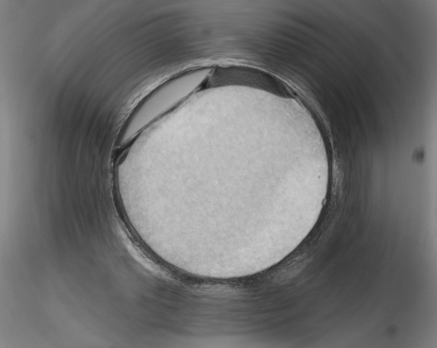 X0000116130389201001041016