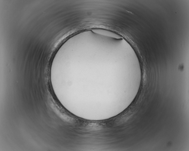 X0000116130390201001041016