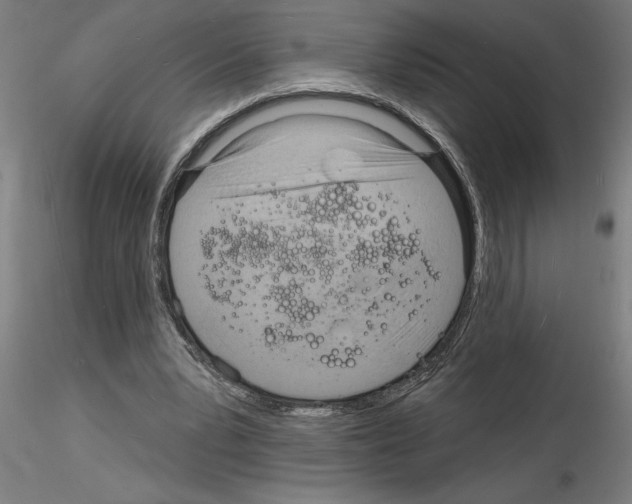 X0000116130391201001041016