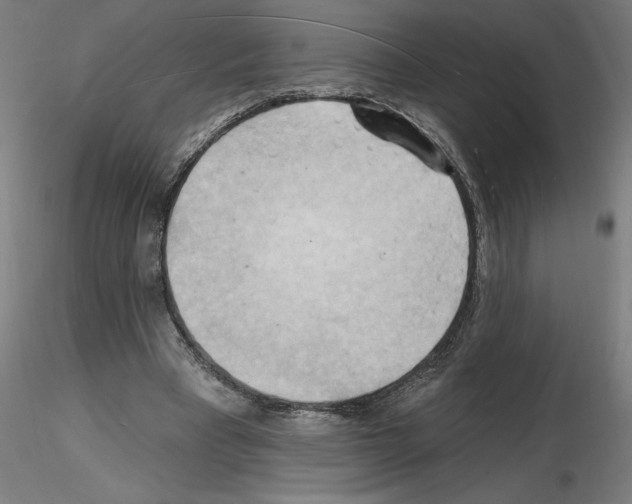 X0000116130393201001041016
