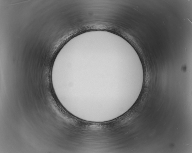 X0000116130394201001041016