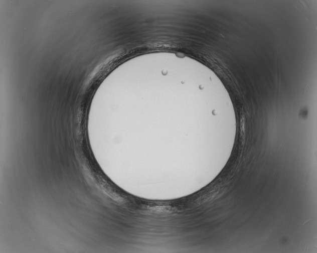 X0000116130396201001041016